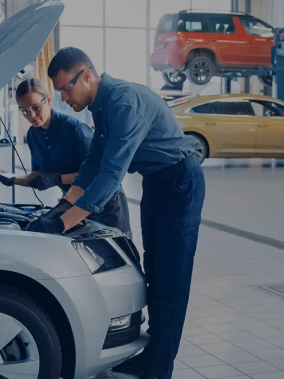 Van de Bunte Harderwijk APK destop