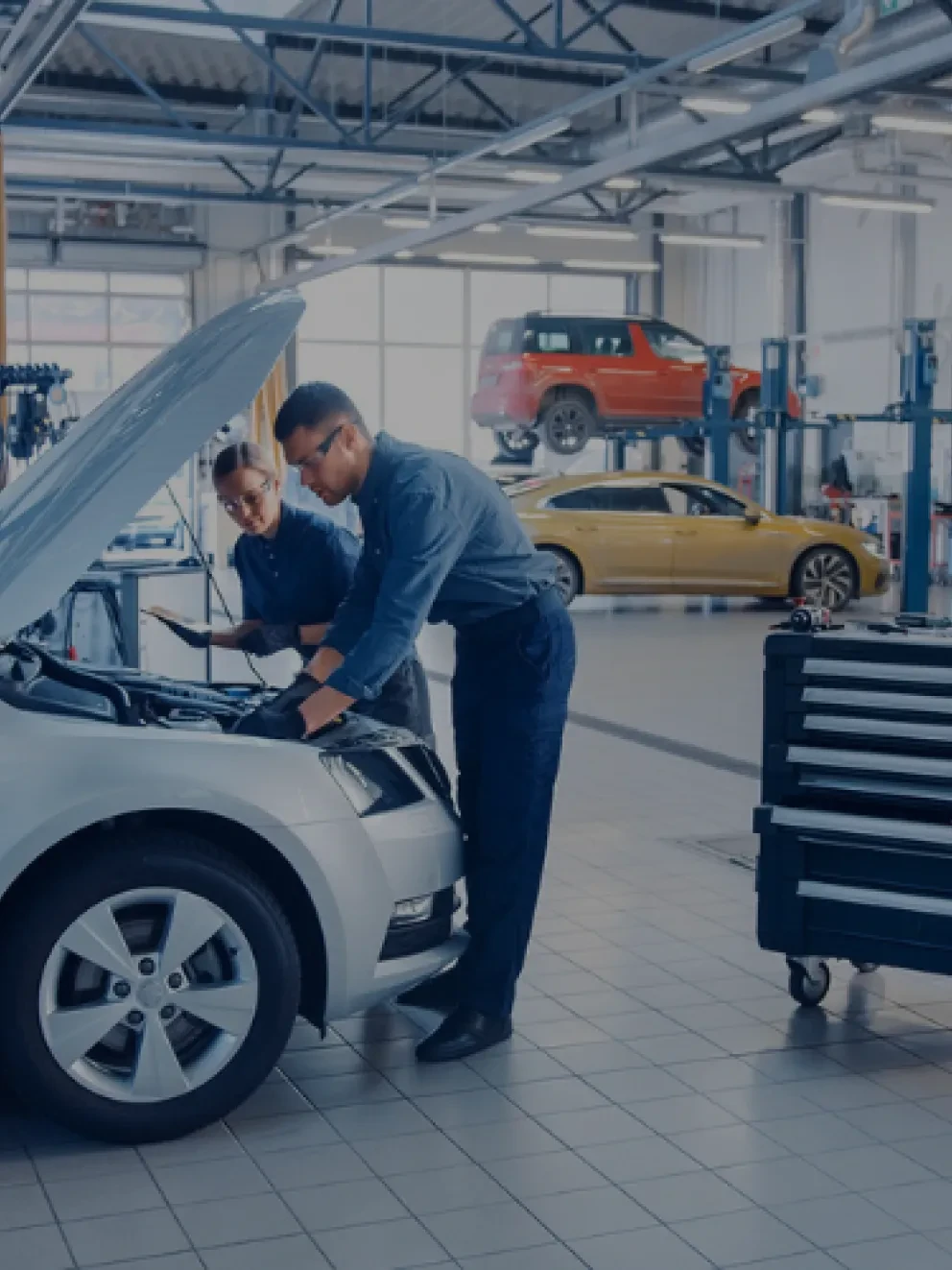 Van de Bunte Harderwijk APK mobiel