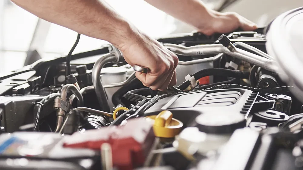 Van de Bunte Harderwijk APK